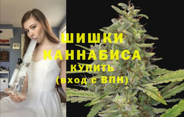 соль ск Балахна