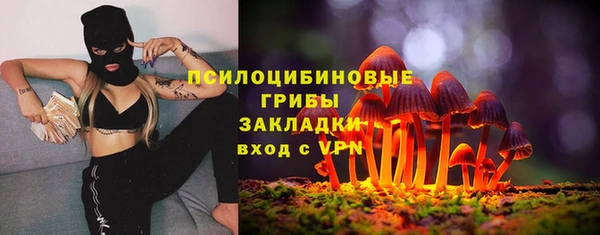 соль ск Балахна