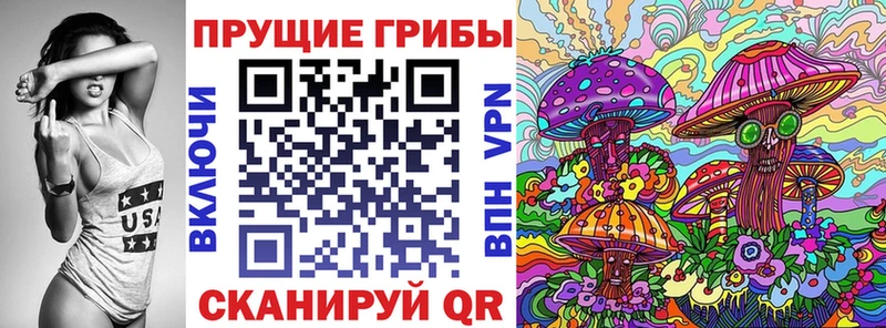 Галлюциногенные грибы Psilocybe  Купить закладки  Ленинск 